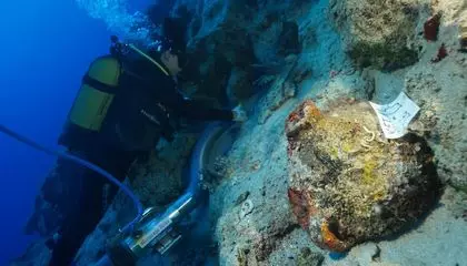 A New Contender for the World's Oldest Shipwreck Has Been Discovered Off the Coast of Turkey. Its Ancient Cargo Is a 'Time Capsule' From 4,700 Years Ago