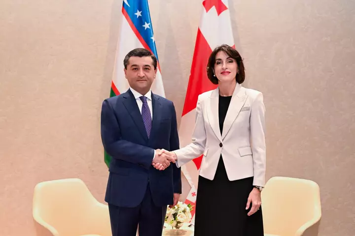 Uzbekistan, Georgia discuss trade, transport and logistics cooperation