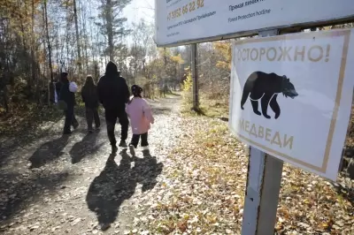 ‘We’ve never had this’: Bear sightings spook Russia