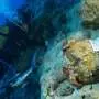 World's oldest shipwreck discovered off coast of Turkey