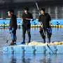 South Korea guides crowd-pulling shark out of canal