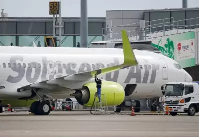 ANA holdings to fully acquire parent of two midsize airlines