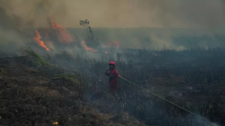 Months-long Indonesia wildfires spew toxic haze across Southeast Asia