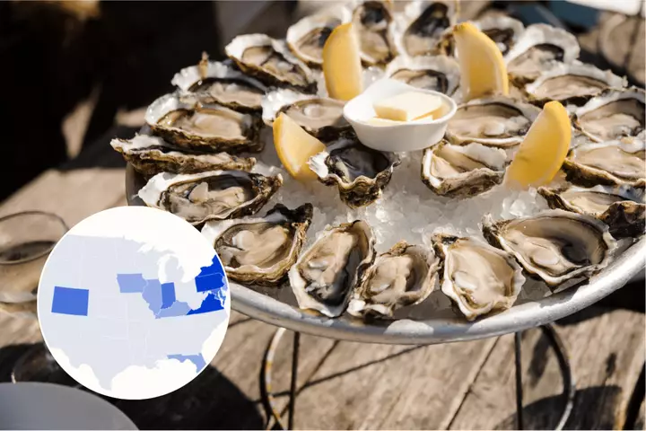 Oyster Recall Map Shows States Impacted by Salmonella Outbreak