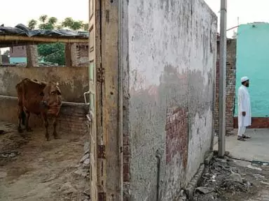 In India, police shootings of alleged cow smugglers raise alarm about impunity and bias