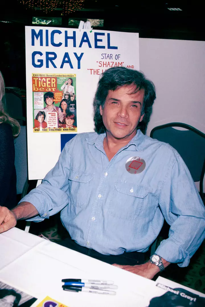 Michael Gray, Star of ‘Shazam!’ TV Series, Dies at 75