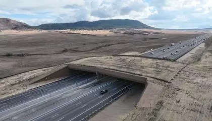 How Colorado's Wildlife Mitigation Efforts—Including the Largest Animal Crossing Overpass in North America—Are Making Everyone Safer