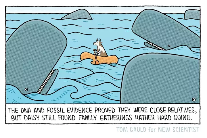 Tom Gauld: DNA and fossil evidence proved they were close relatives