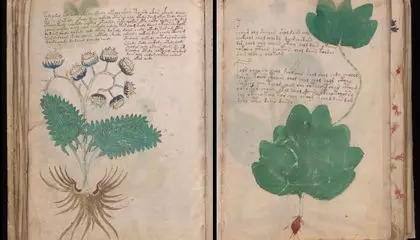 This Mysterious Medieval Manuscript Has Stumped Scholars for Well Over a Century. Could Its Pages Have Been Bound Out of Order This Whole Time?