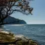 Rising seas could weaken Chesapeake Bay's natural storm surge buffer