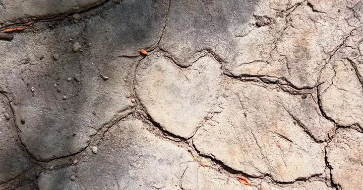 Corrective for a Broken Heart