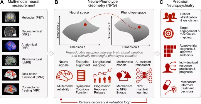 Can neuroimaging unlock precision therapeutics in psychosis spectrum disorders?