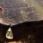 Who should have a say in which species are saved? The California condor offers lessons for a global biodiversity treaty
