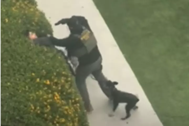 Video Shows ICE Agent Pointing Gun At Unarmed Bystander During Arrest