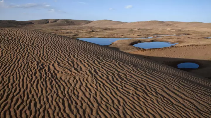 Turkmenistan urges regional action on biodiversity and land degradation