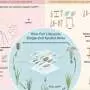 3D map of rice development charts gene activity across plant's entire life cycle