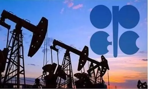 Azerbaijani passport ranks 11th among 21 OPEC+ countries