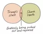 From Trump’s staff to buttering a jacket potato: Edith Pritchett’s week in Venn diagrams – cartoon