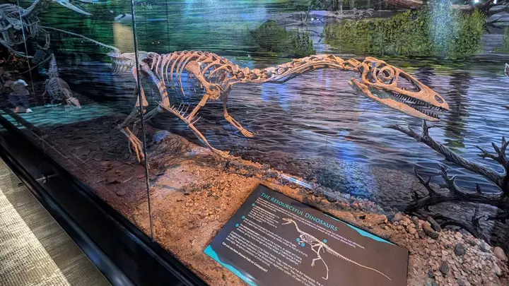 'Ultrarich' Collector Just Bought a Dinosaur for $47 Million — No, Really