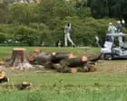 Judge orders Trump administration to halt work on historic DC golf course