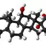 Cortisol is a reproduction friend, not enemy