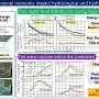How much of a basin's drainage network should flood models capture?