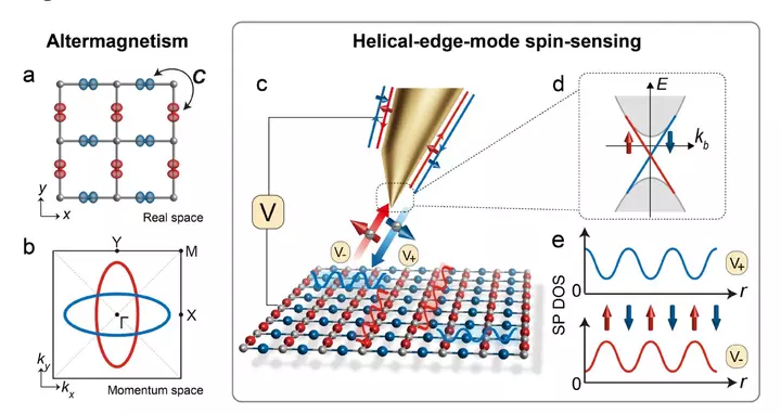 New topological microscope tip reveals evidence of 2D altermagnetism