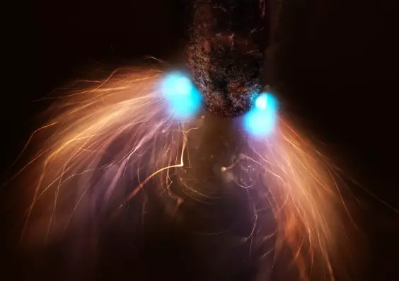 Can You Recognize the Subject of This Year’s Microscopic Photography Contest Winner?