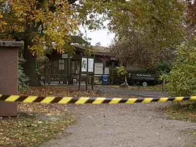 An 8-year-old girl was attacked by a wolf in a German zoo