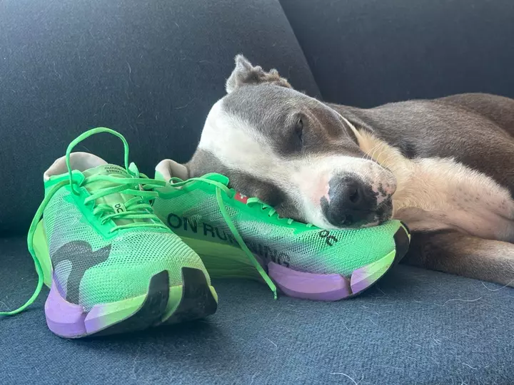 The 10 Best Marathon Running Shoes of Fall 2026