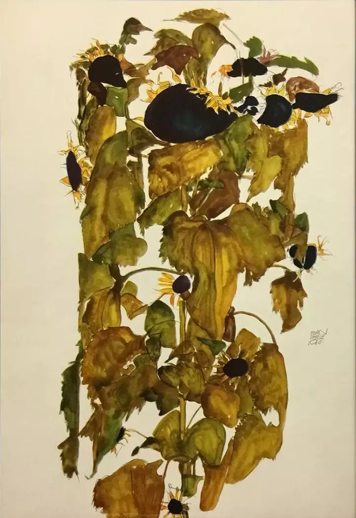 Protected: Willows, Cucumbers and Sunflowers