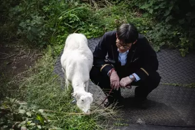 JR East’s new four-legged landscapers are proving to be a hit