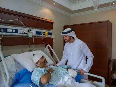 Captain of Flydubai plane describes blocking axe blows as co-pilot attacked