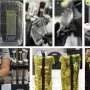 Plants shift gene activity within minutes of entering spaceflight, experiment reveals