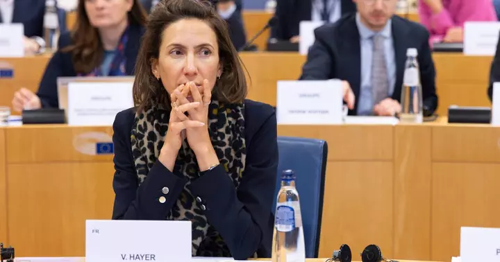 EU liberal chief urges conservatives to shun far right ahead of big election year