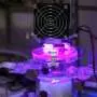 Light-activated catalyst makes sustainable production of hydrogen peroxide more efficient