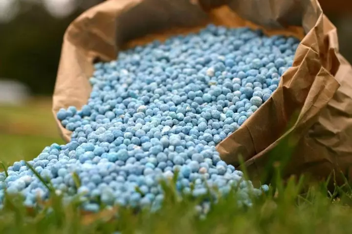 Azerbaijan’s nitrogen fertilizer exports fall 23.5%, methanol export value rises 8%