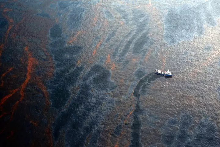 Oil Spills Wreak Havoc on the Bottom of the Ocean, Even a Decade Later