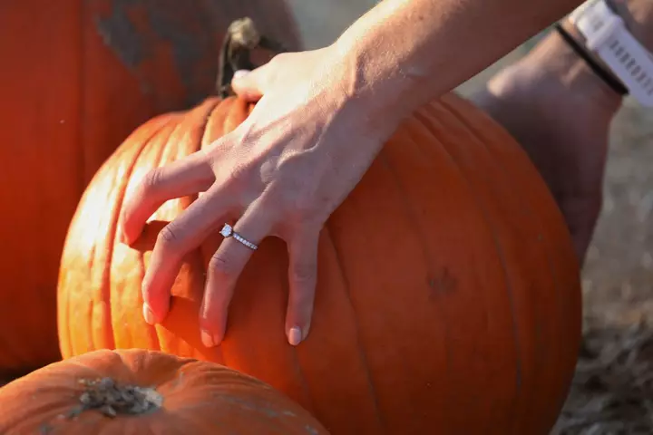 Three Kids in ICU as Pumpkin Farm E.coli Cases Probed: How to Stay Safe
