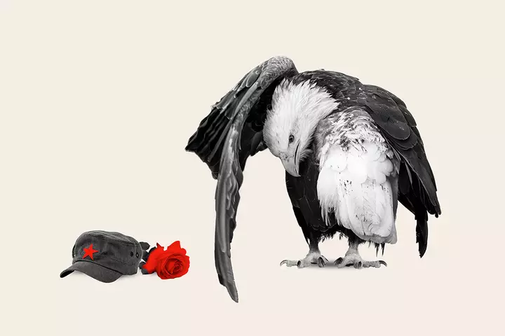 Americans Sour on Socialism Before Midterms