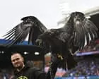 Animal rights group urges Crystal Palace to retire bald eagle mascot