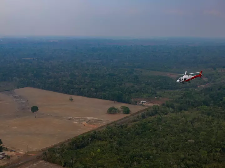 Brazil’s Amazon deforestation hits lowest level on record