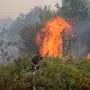 Indonesia fires have burned nearly 2 million hectares: Monitor