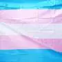 Are transgender sports bans really about protecting women? Survey data tells a different story