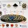 New electrochemical sensor could make food quality testing faster and less expensive