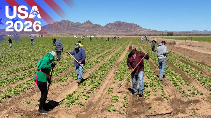 ‘Scared of crossing the border’: The Arizona farmers who rely on Mexican workers