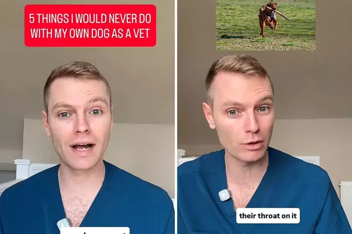 Vet Warns of 5 Dangerous Mistakes Dog Owners Make: 'I Would Never'