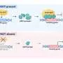 Keeping jumping genes in place: New role for protein complex discovered
