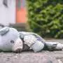 End of COVID-era SNAP emergency food assistance linked to increased child maltreatment rates