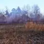 Wild bobwhite quail spotted after habitat restoration project